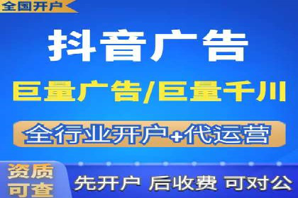 信息流广告代理案例对比分析
